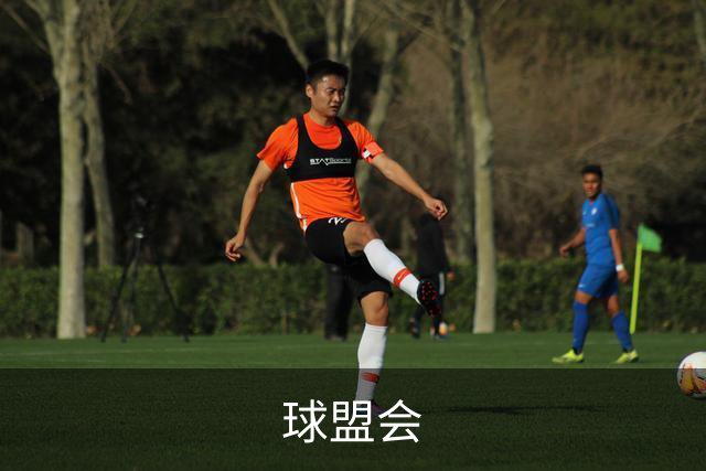 球盟会 公司简介